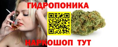 винт Кимры