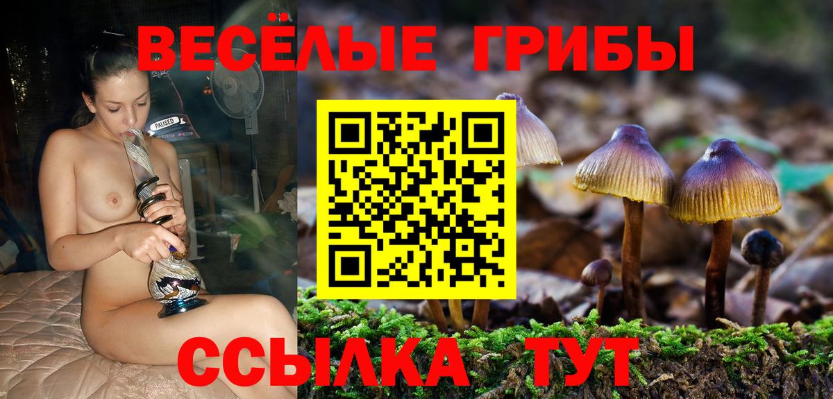 Галлюциногенные грибы MAGIC MUSHROOMS Партизанск