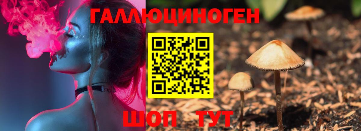 Партизанск  Псилоцибиновые грибы мицелий  Вход с VPN  Псилоцибиновые грибы Magic Shrooms 